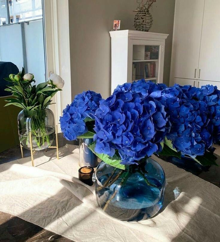 Нина Денева gallery image 2